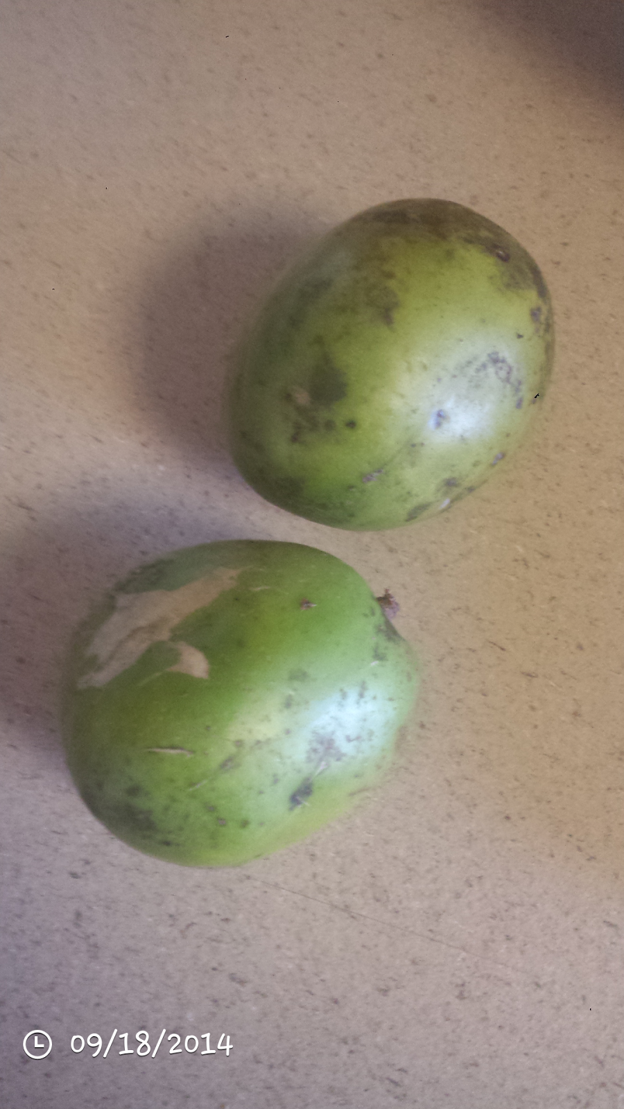 Divine Delightful Dishes Jamaican Stewed June Plum (Pommecythere