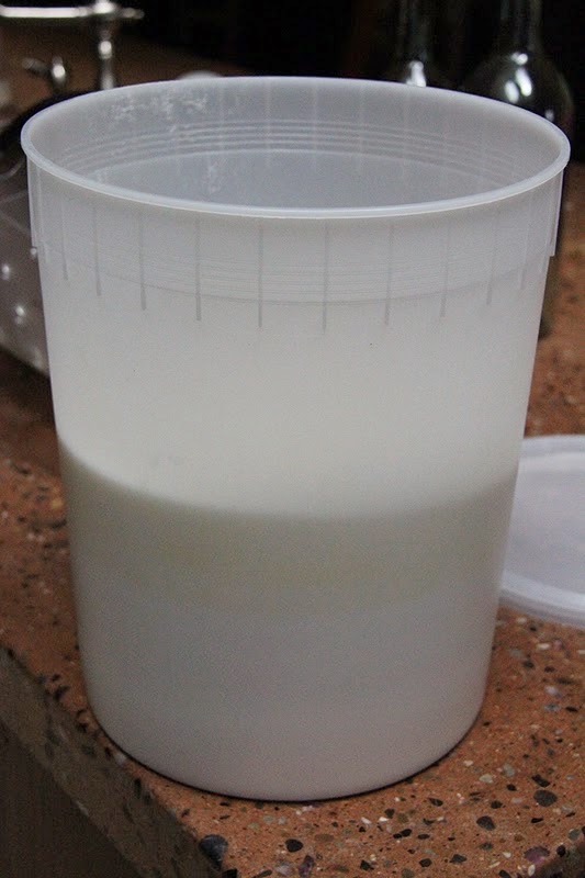 SISTERKINS Making Homemade Raspberry Wine