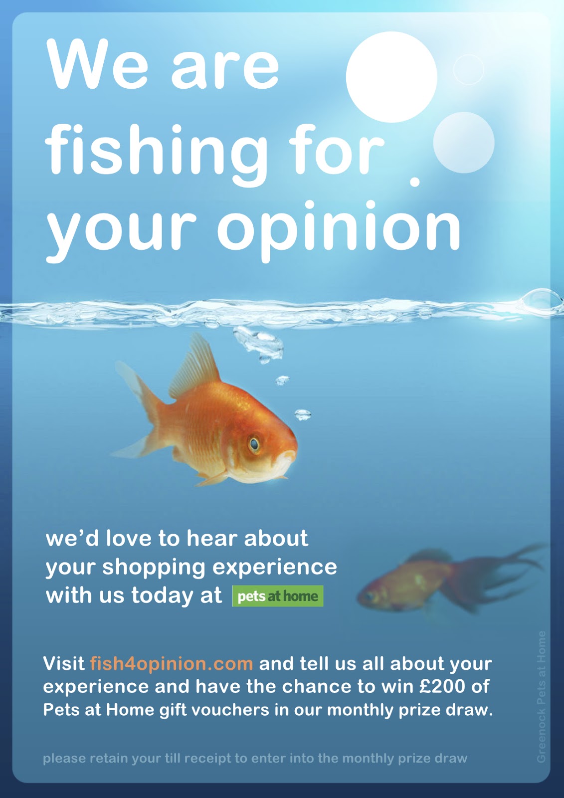 Pets at Home Online Survey Tam Ferns