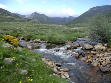 NACIMIENTO DEL CURUEÑO