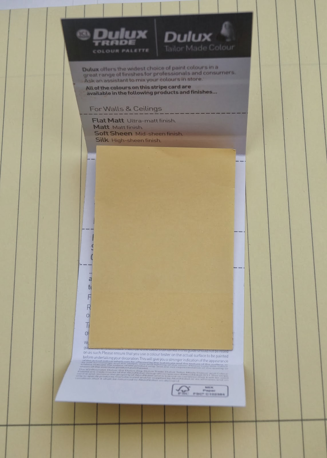 buttons and paint... and a Paint Swatch Mini Notebook