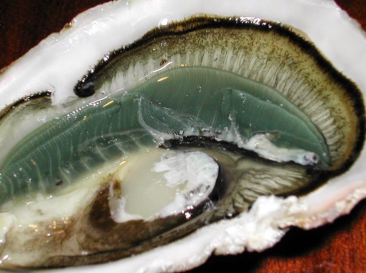 Fish and Shellfish Nutritional information of oysters