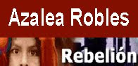 A.Robles en rebelion.org