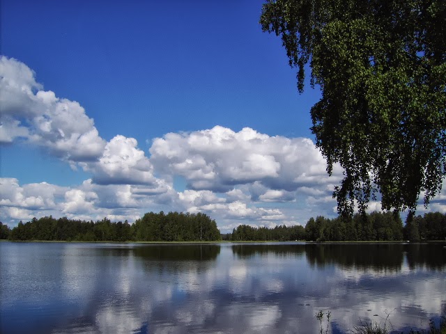      Kiannikin käden jälkiä.