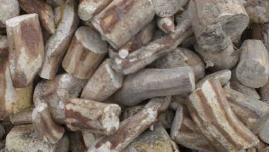 kombinasi pakan ternak gaplek dan kedelai agar nutrisi kombinasi pakan ternak gaplek dan kedelai agar nutrisi