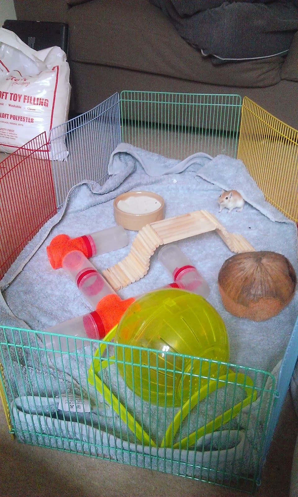 Just Me Gerbil funtime playtime