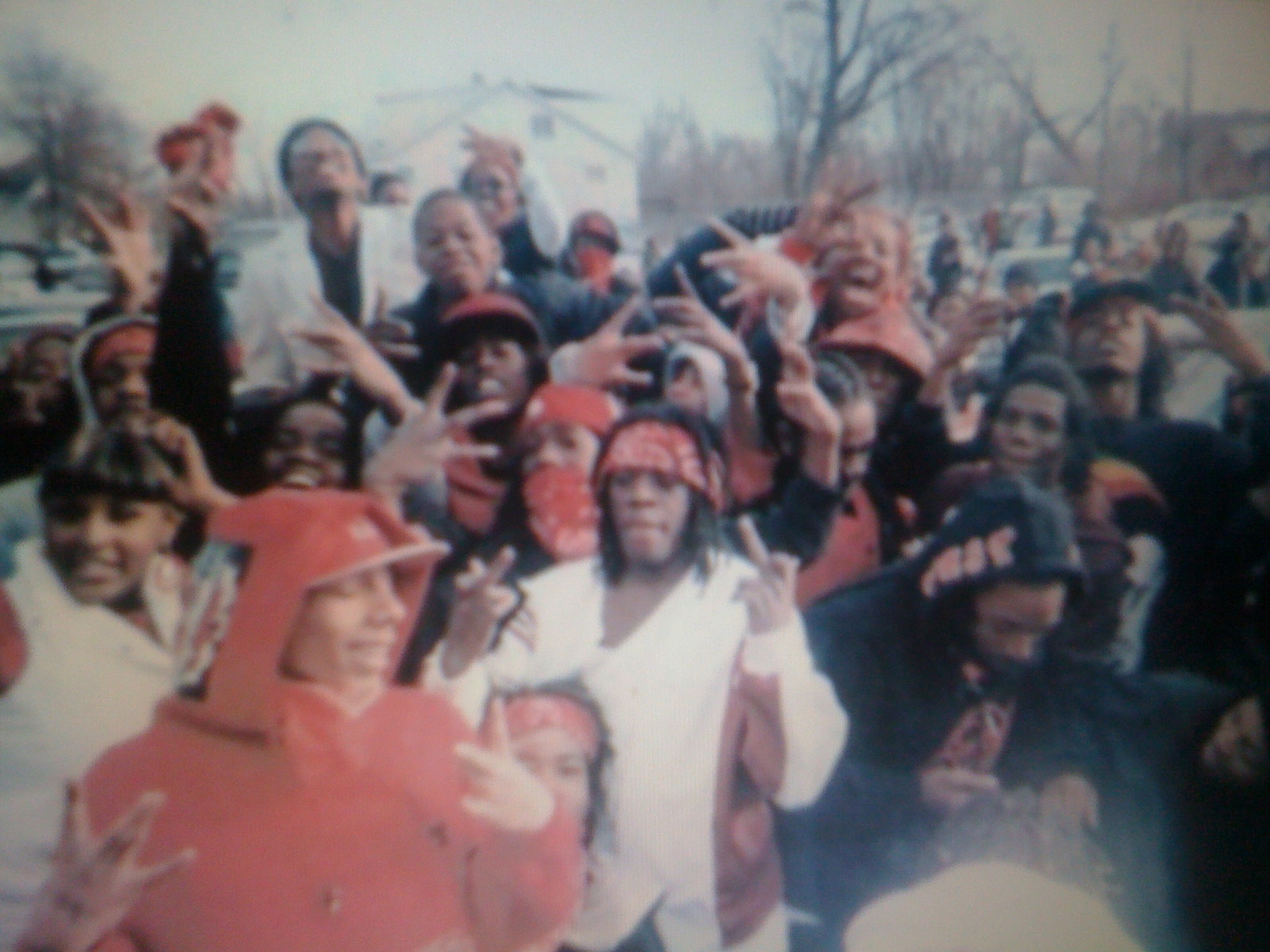 THE BLACK SOCIAL HISTORY BLACK SOCIAL HISTORY CHICAGO STREET GANGS