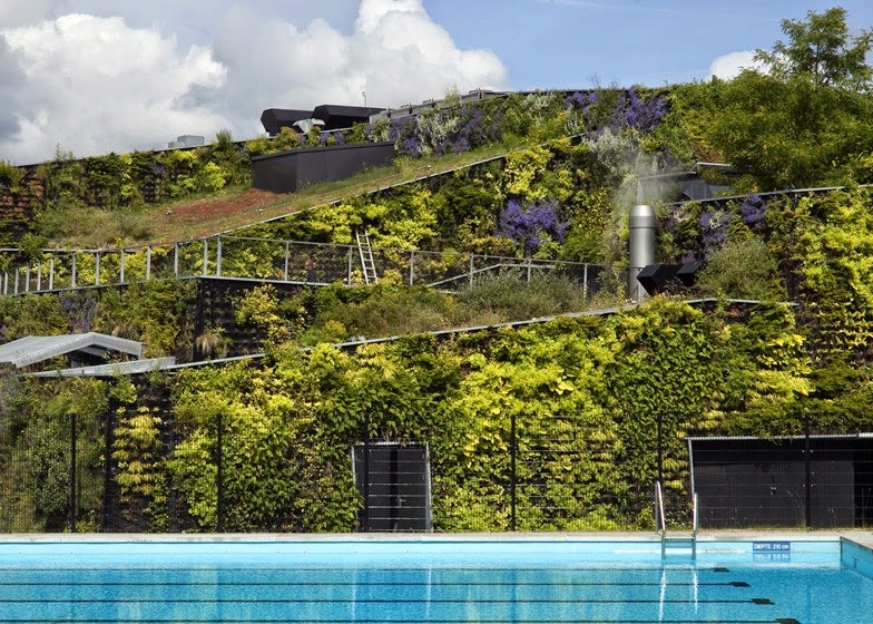 Phủ xanh mặt tiền một công trình - phong cách theo kiến trúc xanh -xu hướng phổ biến trên toàn thế giới