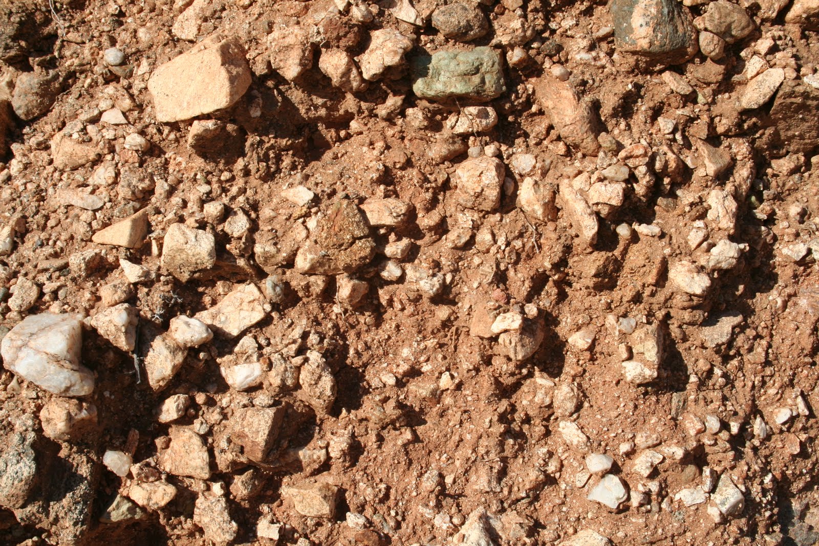 Practical Biology science for everyone Basic desert soil horizons