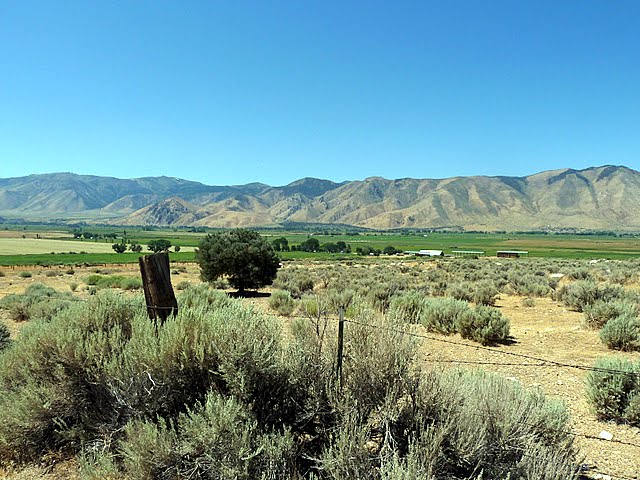 Our Life on Wheels Coleville, CA