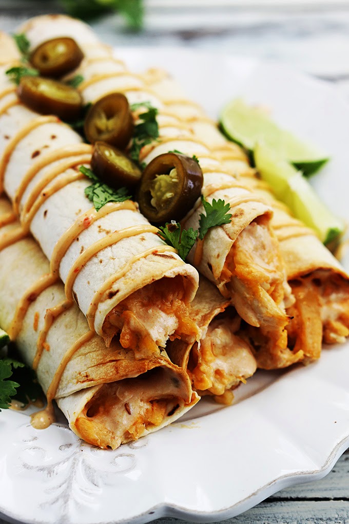 Creamy Chipotle Chicken Taquitos Recipes Cocktails and Delicious