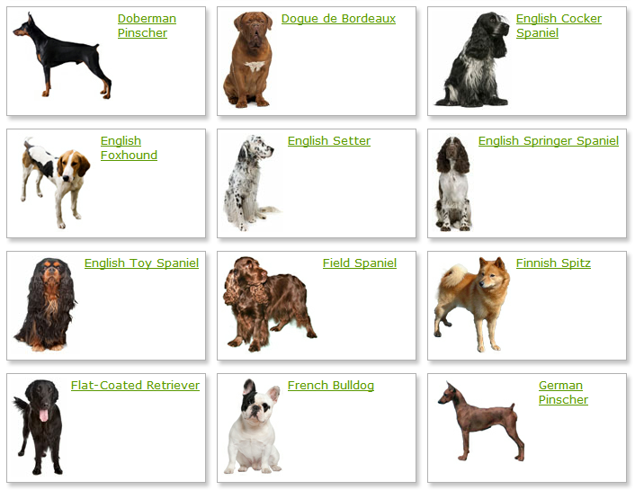 Dog Breeds List With Picture | pet.38