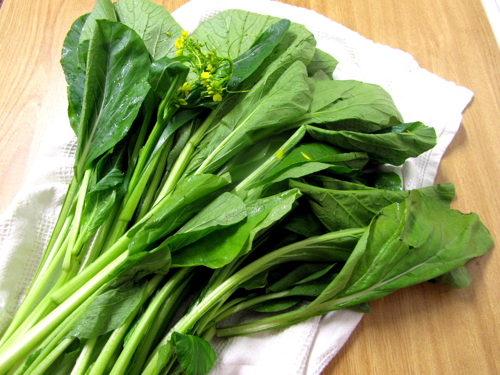 cocina con luz verde Sabores exóticos (¿o no tanto?)