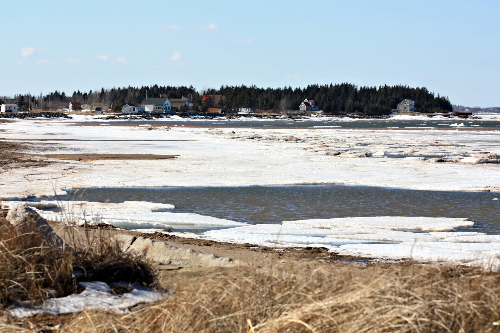 Carol Steel PetitCap, New Brunswick