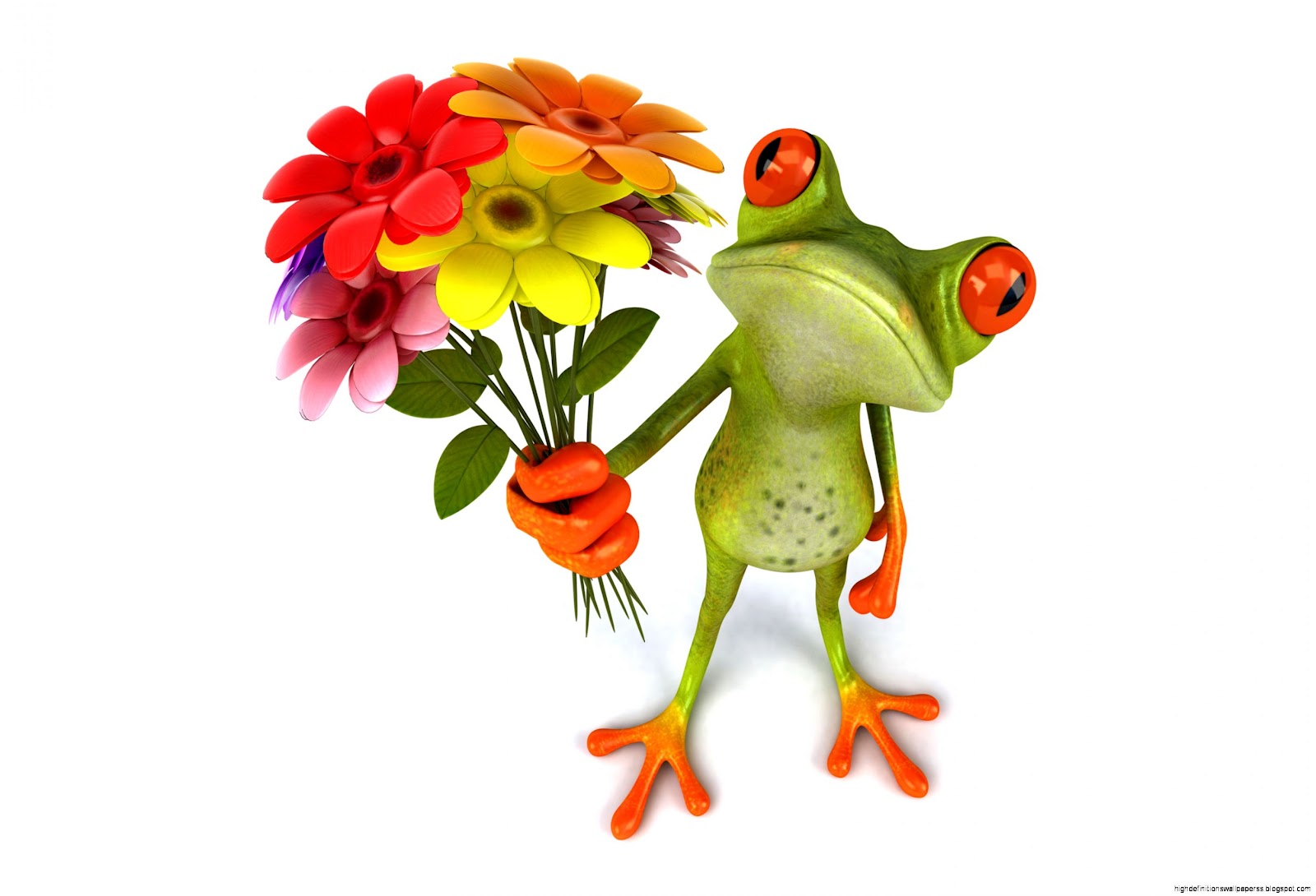Funny 3D Frogs Funny 3D Frogs
