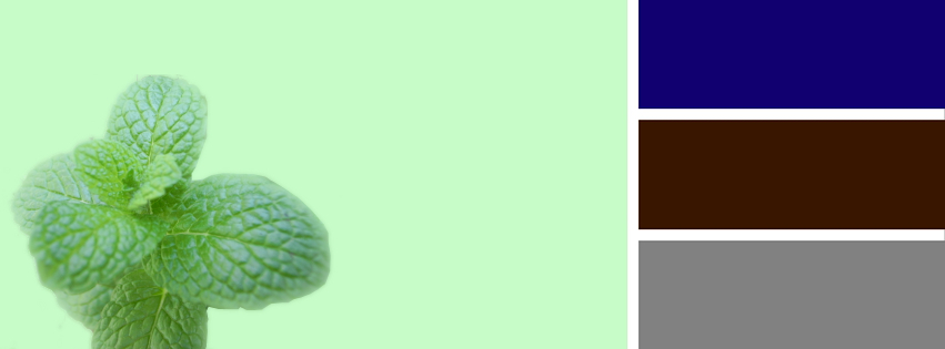 Z czym nosić mietę Z czym nosić mietę