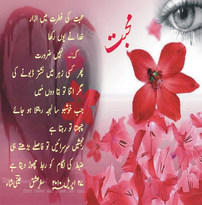 Urdu Poetry 1 ~ ENTERTAINMENT AND LOVE IS LIFE