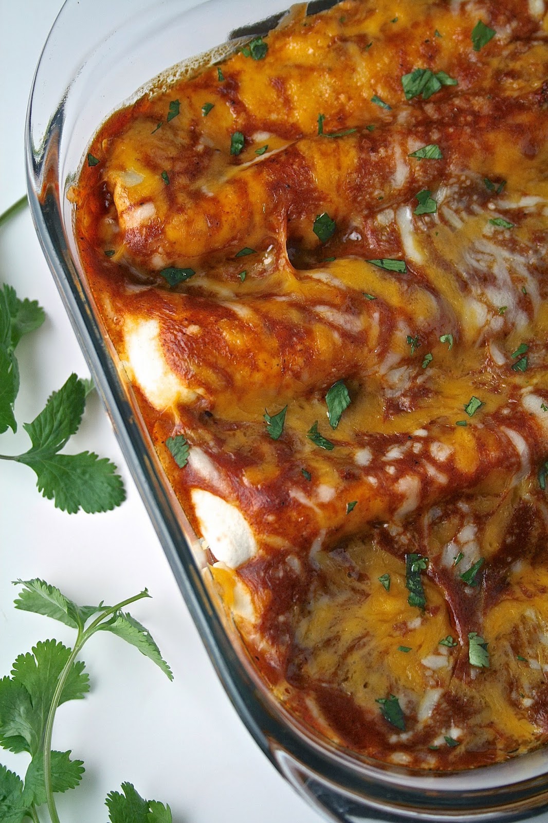 Oregon Transplant Cheese Enchiladas with Chili Gravy