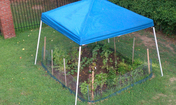 My Nuggets of Truth: The Master Gardener