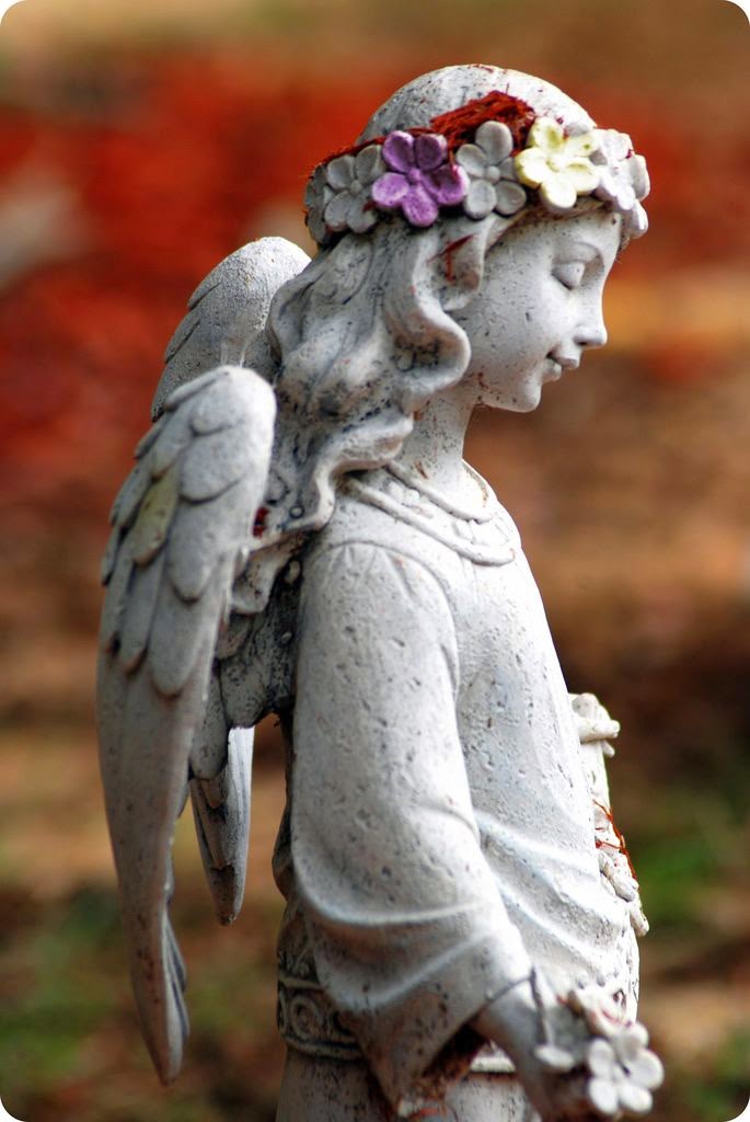 An angel in the garden Backyards Click