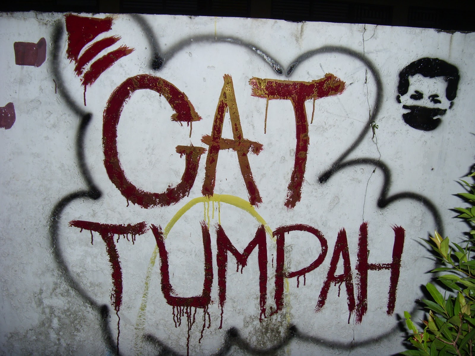 Cat Tumpah