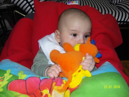 Evrim Arda Sevimli İnek eti yenir mi ? dur bakayım )