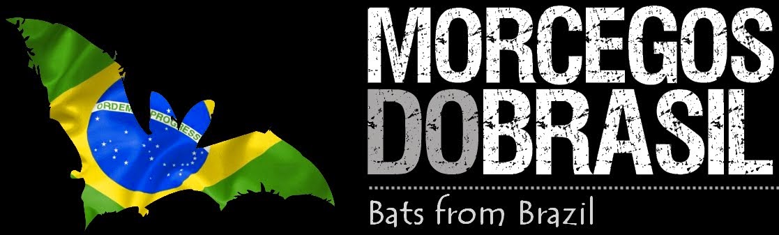 Bats of Brazil