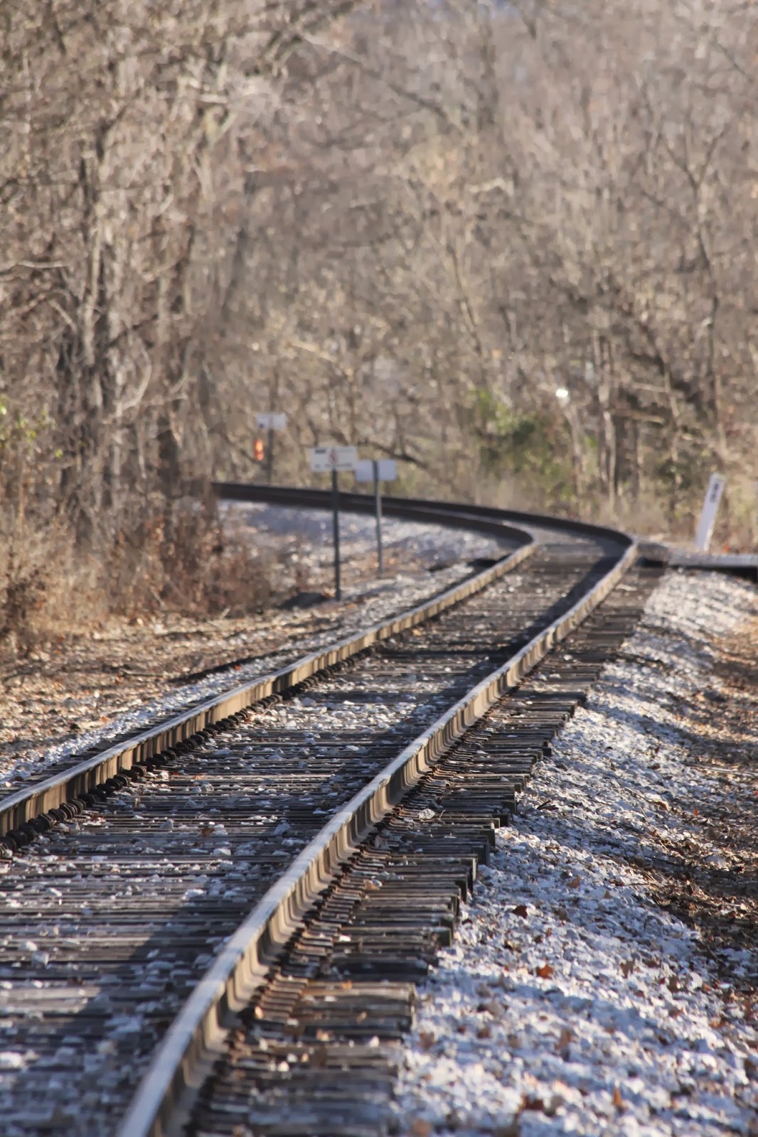 BlueEyed Kentucky Downtown Midway, Part 2
