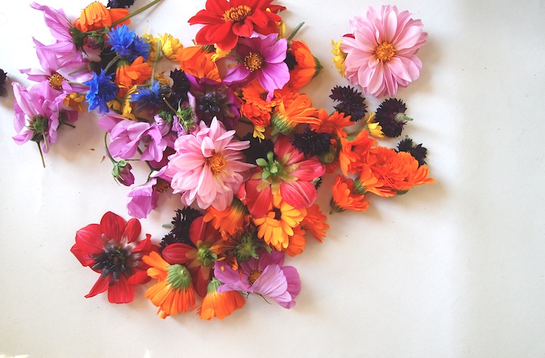 Fabric Dyeing With Flowers i knowles nothing