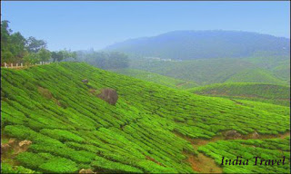 India Travel - Beautiful hill stations of Kerala