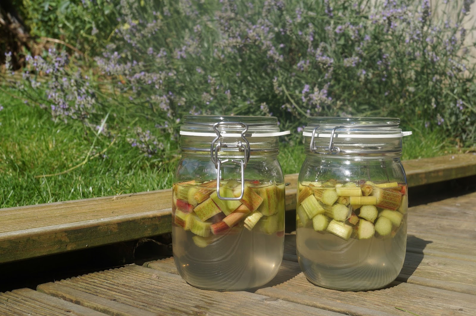 buttons and paint... Tips, Tools & Techniques Homemade Rhubarb Vodka