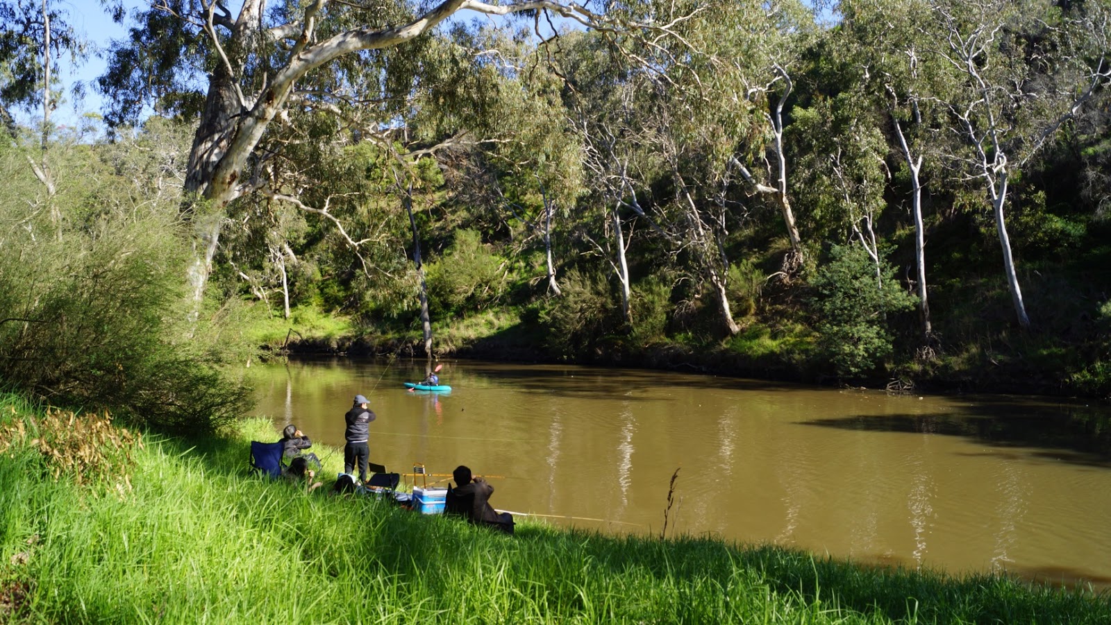 yarra river warrandyte fishing report