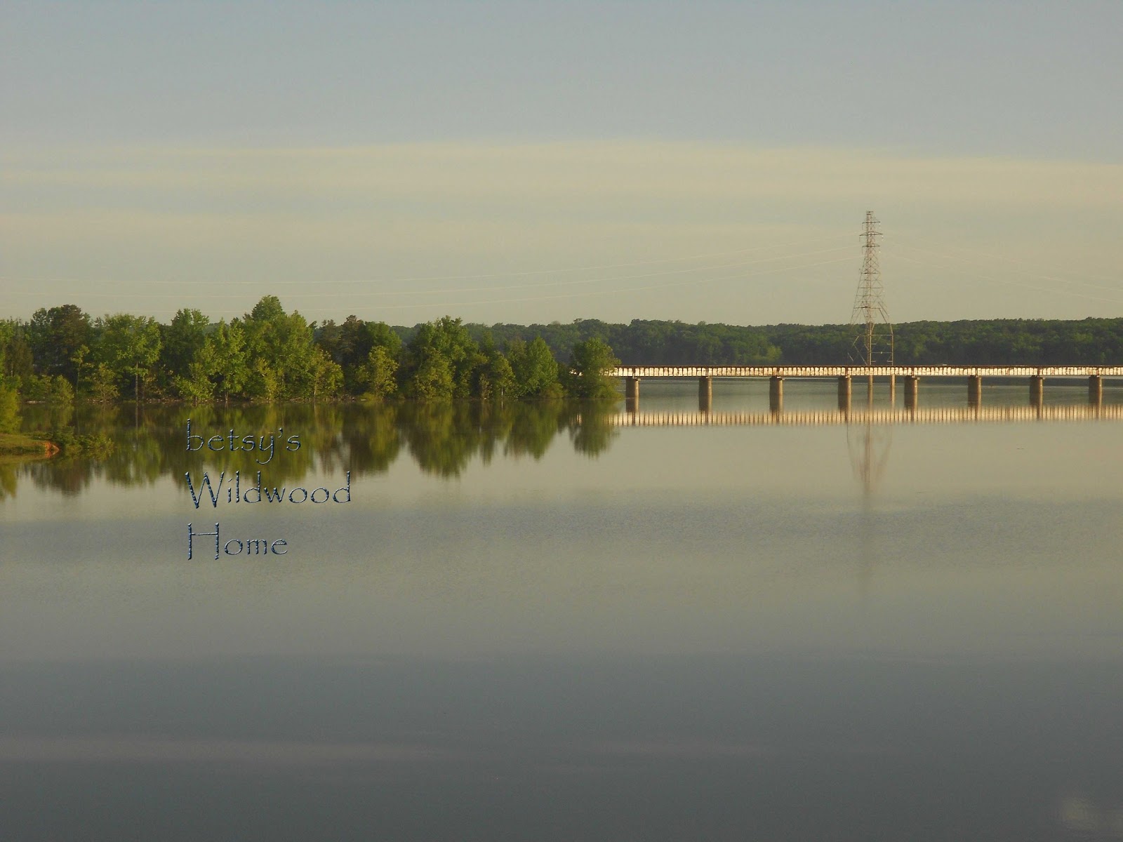 Betsy's Wildwood Home Chase City Va (clarkesville 3)