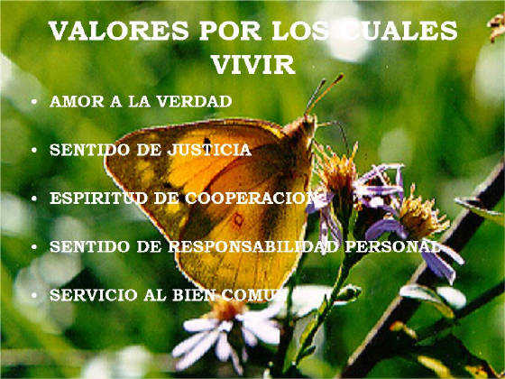 IMPORTANCIA DE LOS VALORES HUMANOS importancia de los valores humanos: