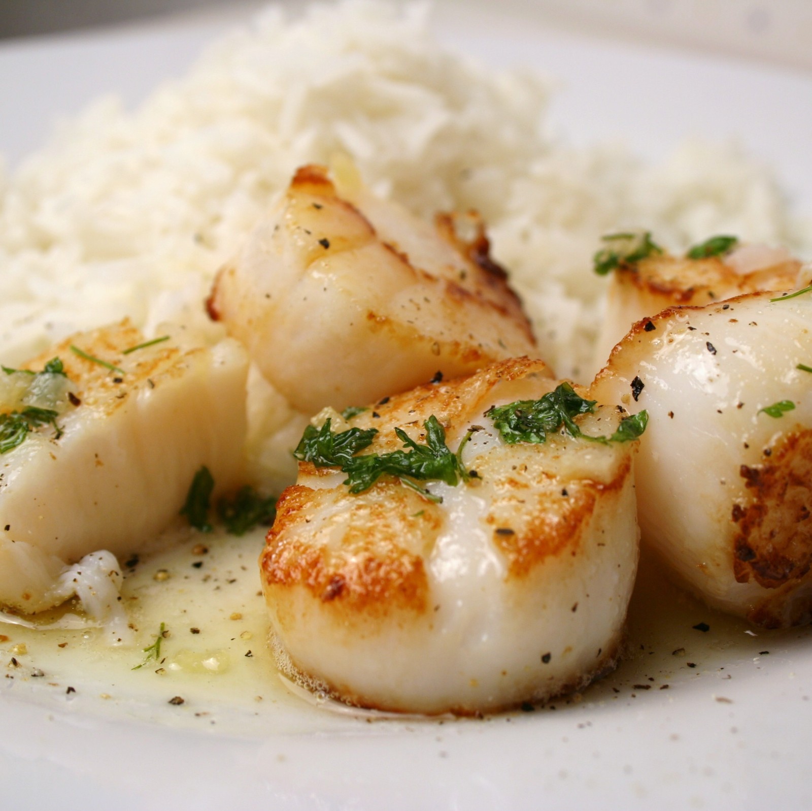 Recette coquille saint jacques a la poele Jason Chapman