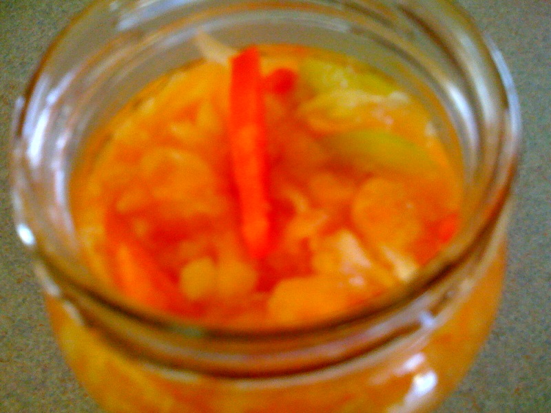 MY FOOD TRIPS BLOG ATSARA (PAPAYA RELISH) RECIPE