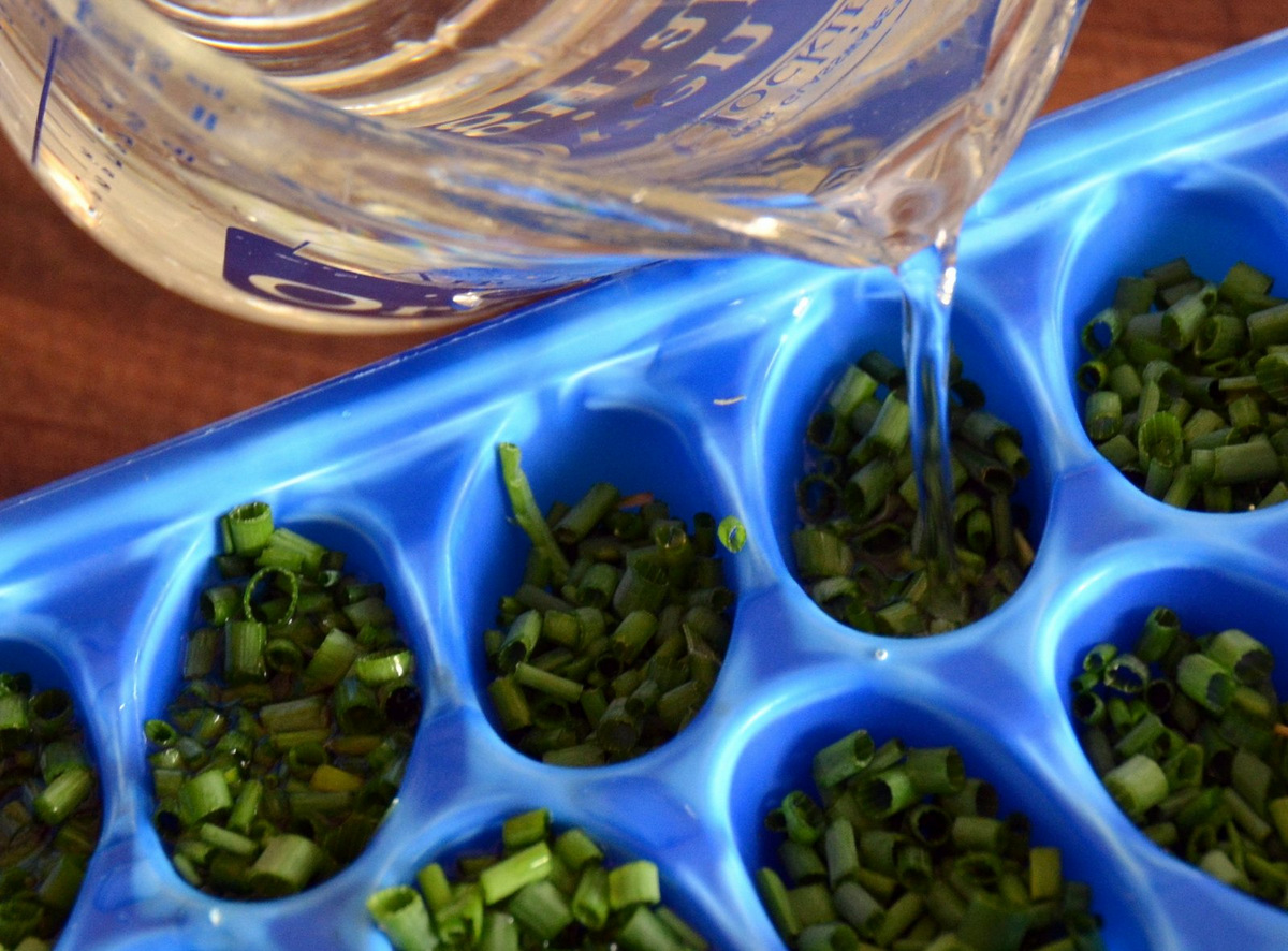 Preserve Fresh Herbs By Freezing Into Ice Cubes Ramblings from a Desert Garden