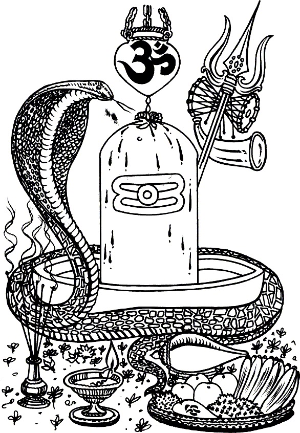 Best Collection Store SHIVLING