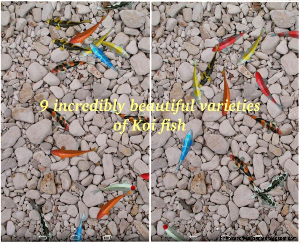 Water Pool Live Wallpaper Android Apps on Google Play Water Pool Live Wallpaper Android Apps on Google Play