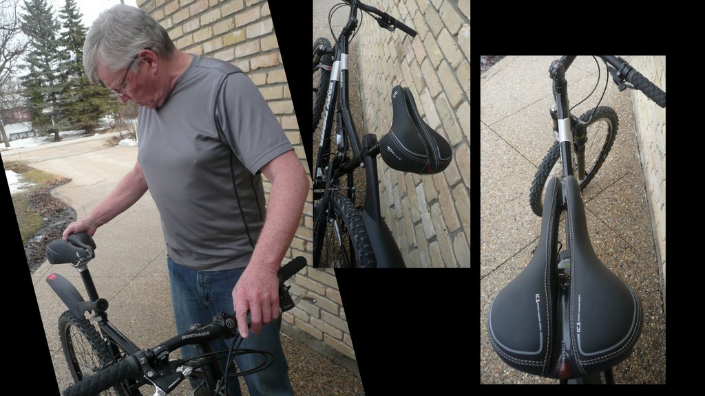 donut bike seat