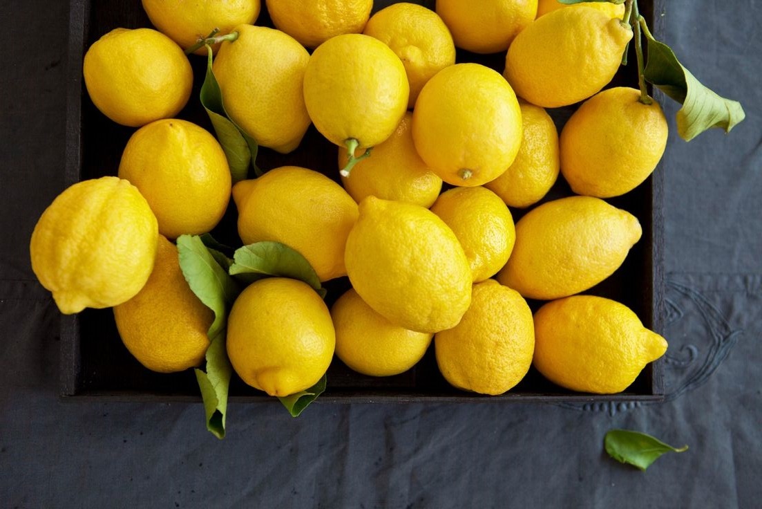 Instrucciones para llorar - Julio Cortzar - Ciudad Seva