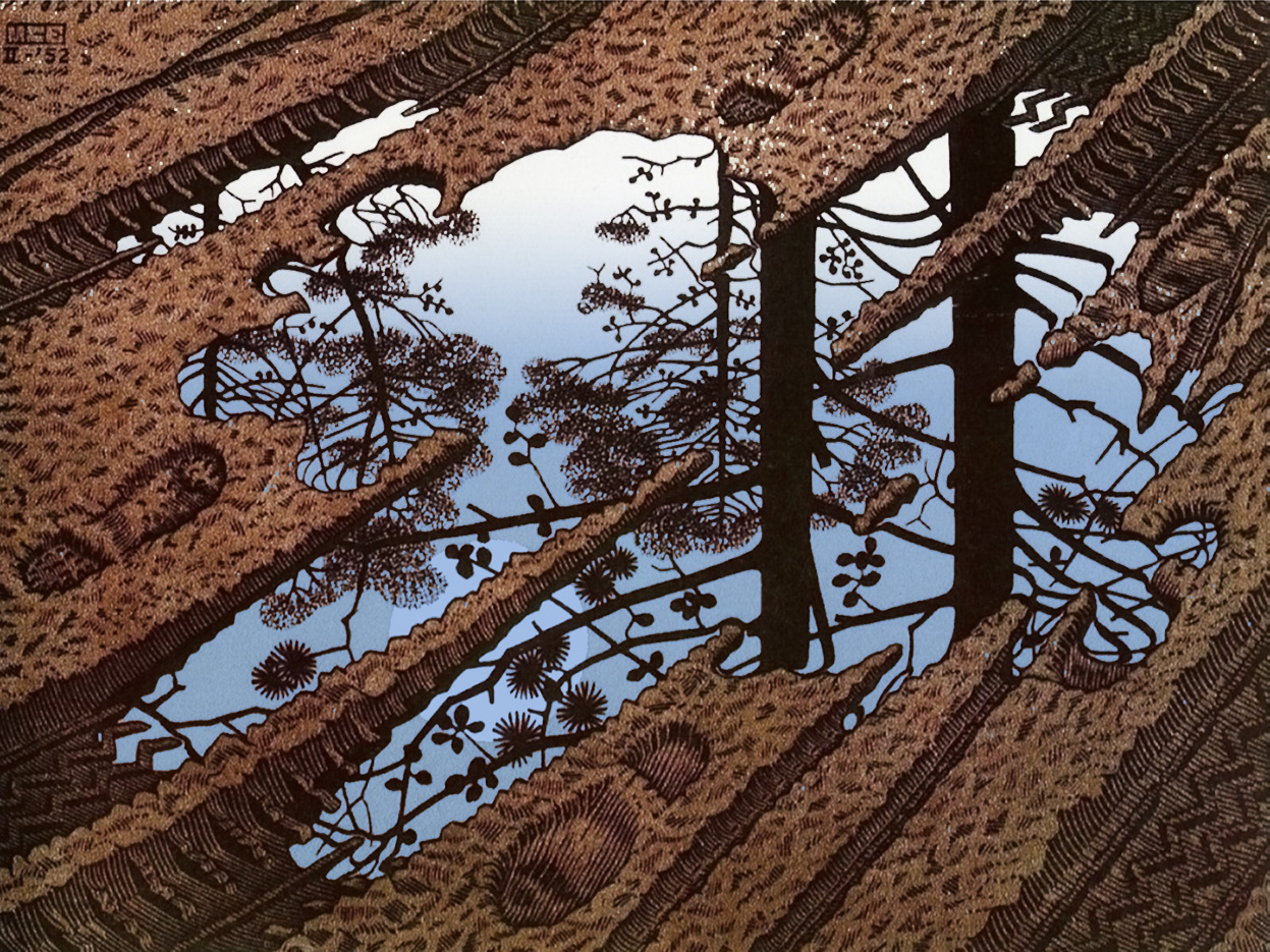 puddle mc escher