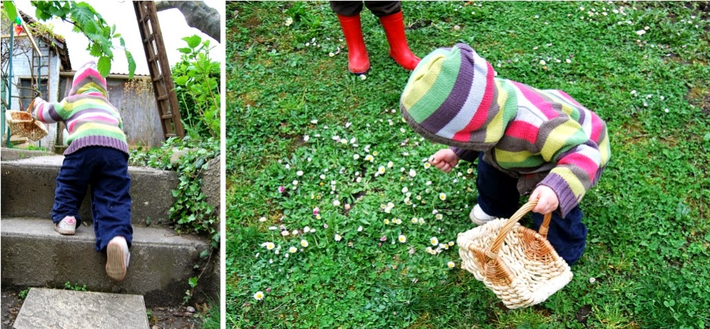 La Plus Belle Des Fleurs