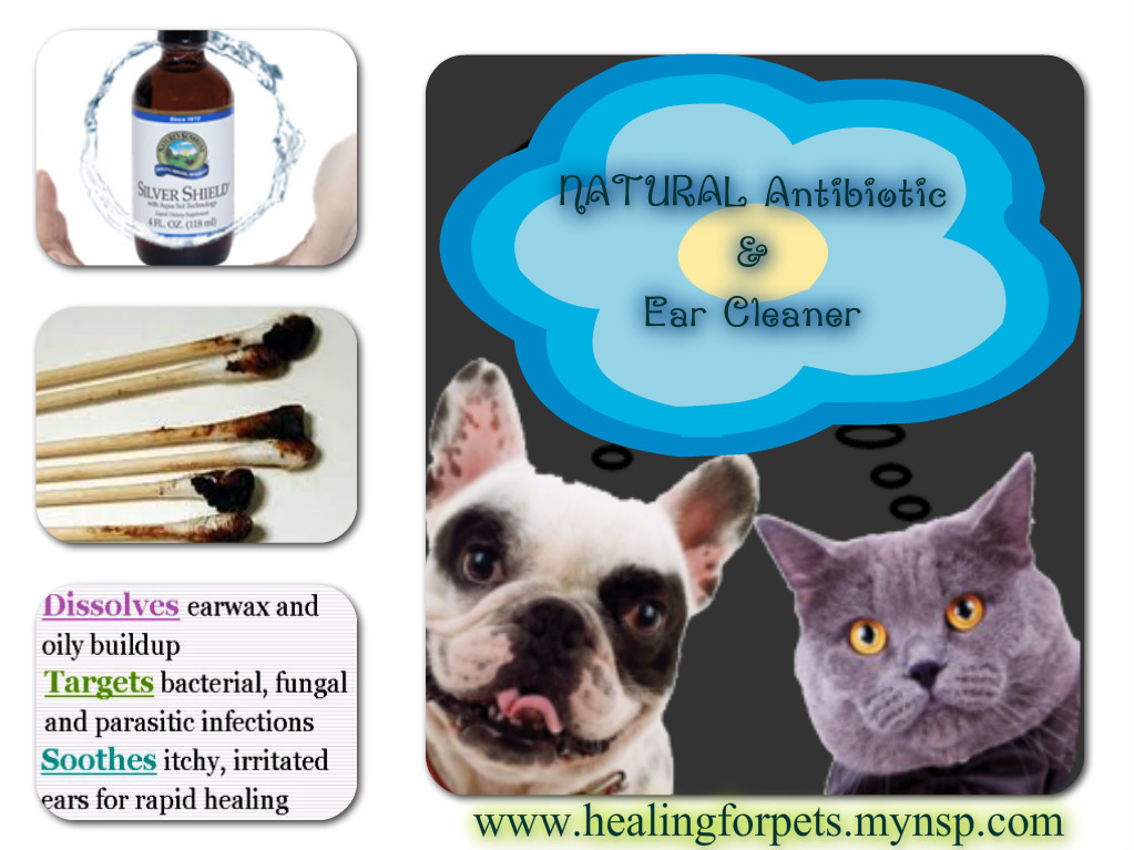 I love my Dog Cleaning your Dog's or Cat's ears Natural Treatments