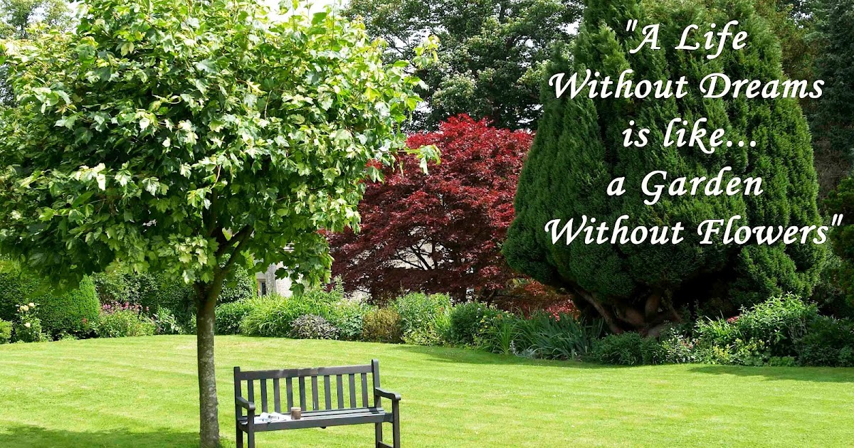 Happiness and Essence (สาระสุขสันต์) A Life Without Dreams...