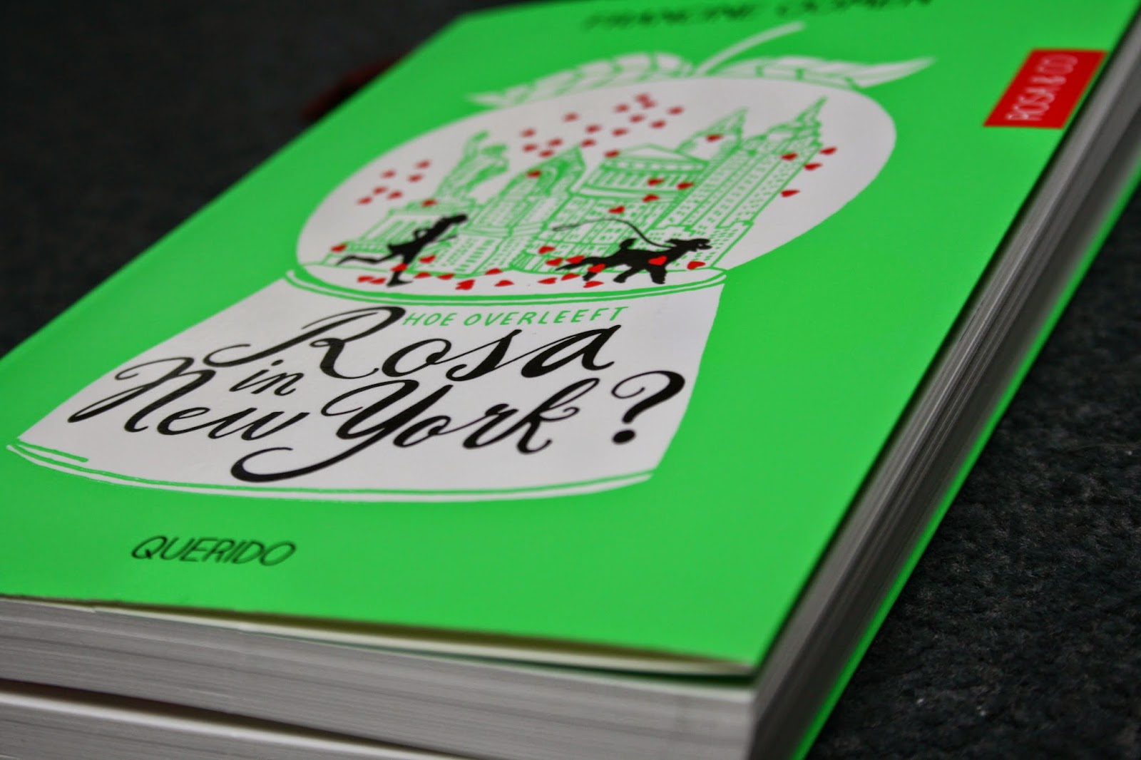 Fourteens Book review Hoe overleeft Rosa in New York?