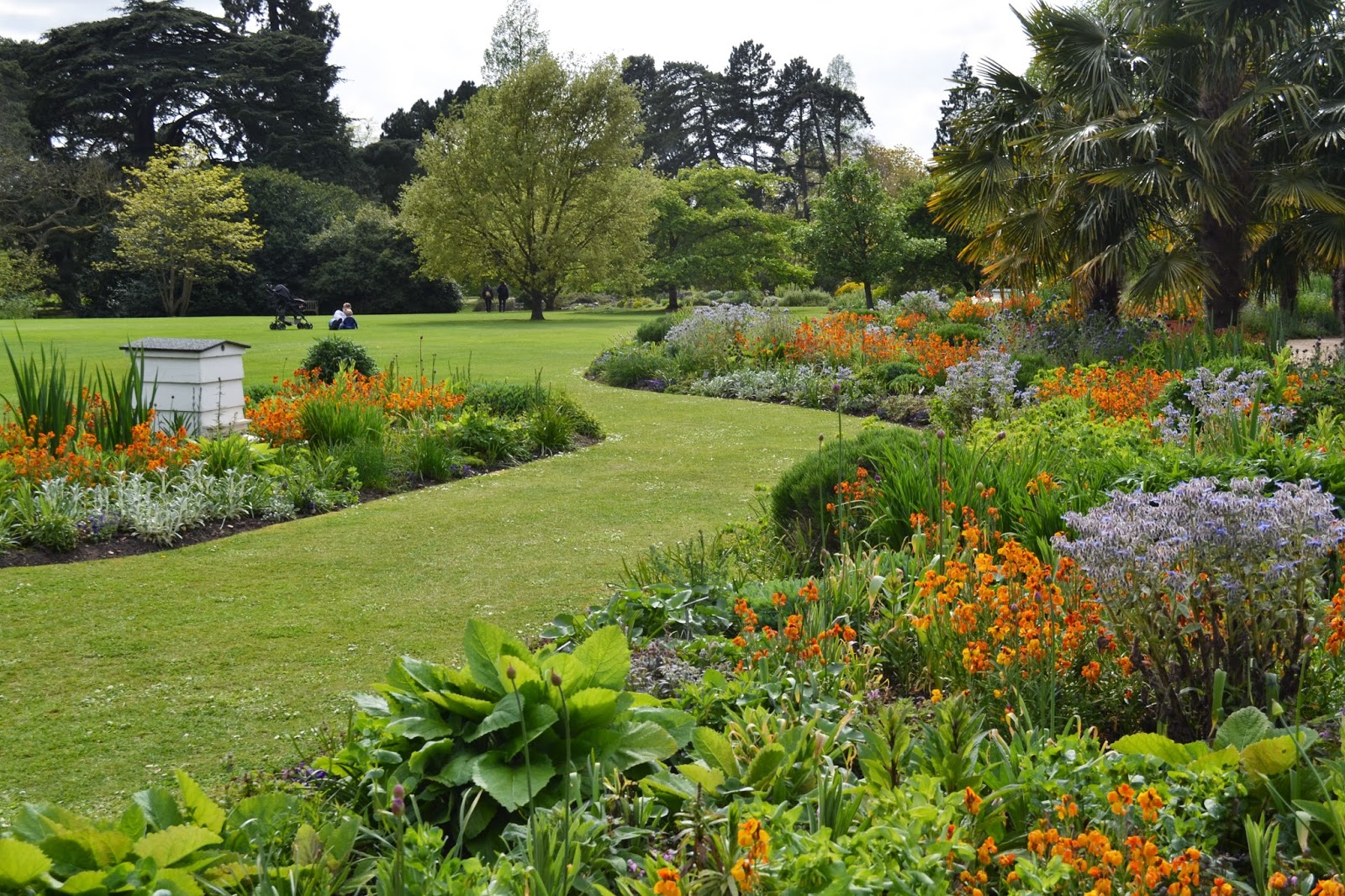 Cambridge University Botanical Garden, England