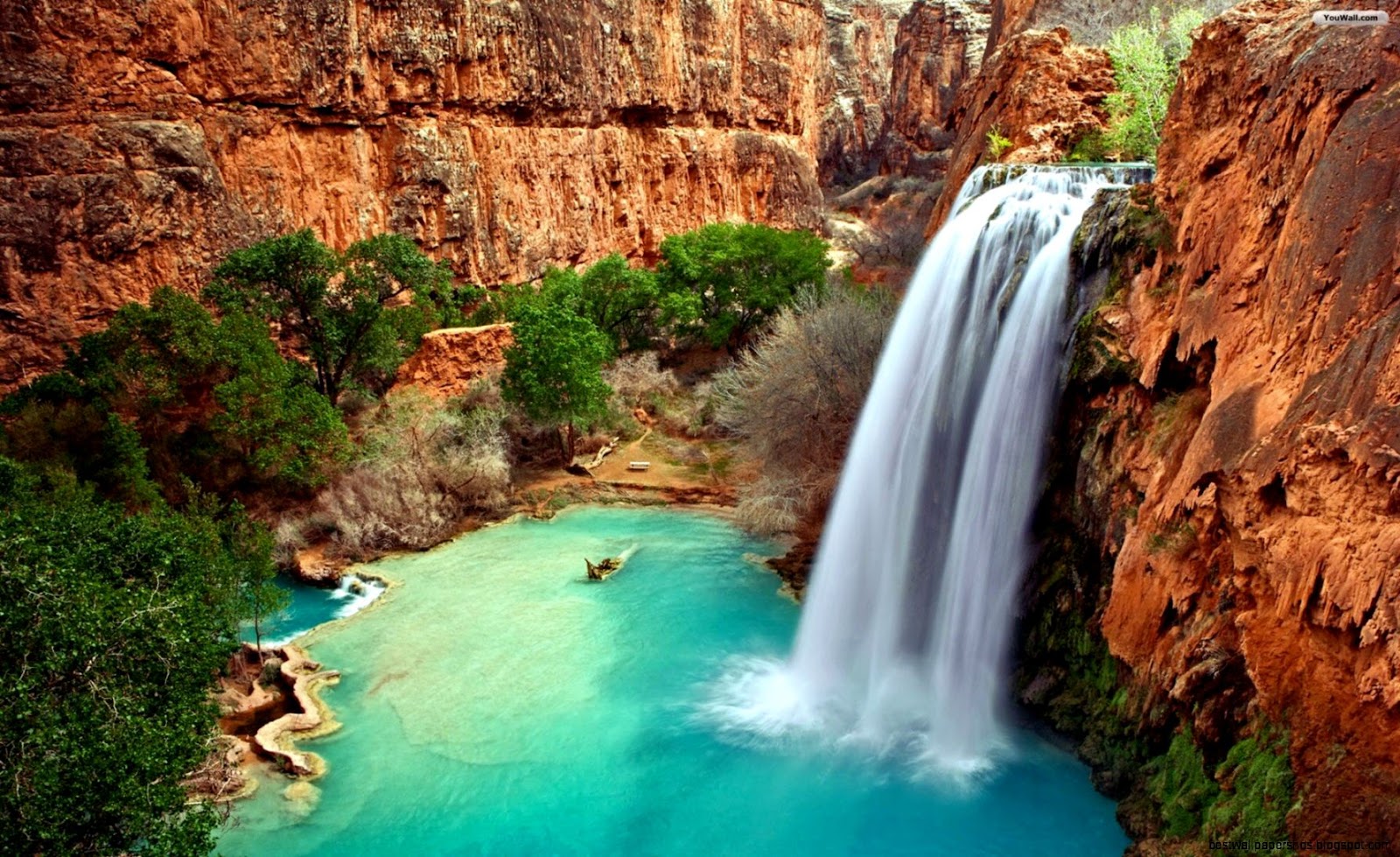 Havasu Falls Arizona Waterfalls Havasu Falls Arizona Waterfalls