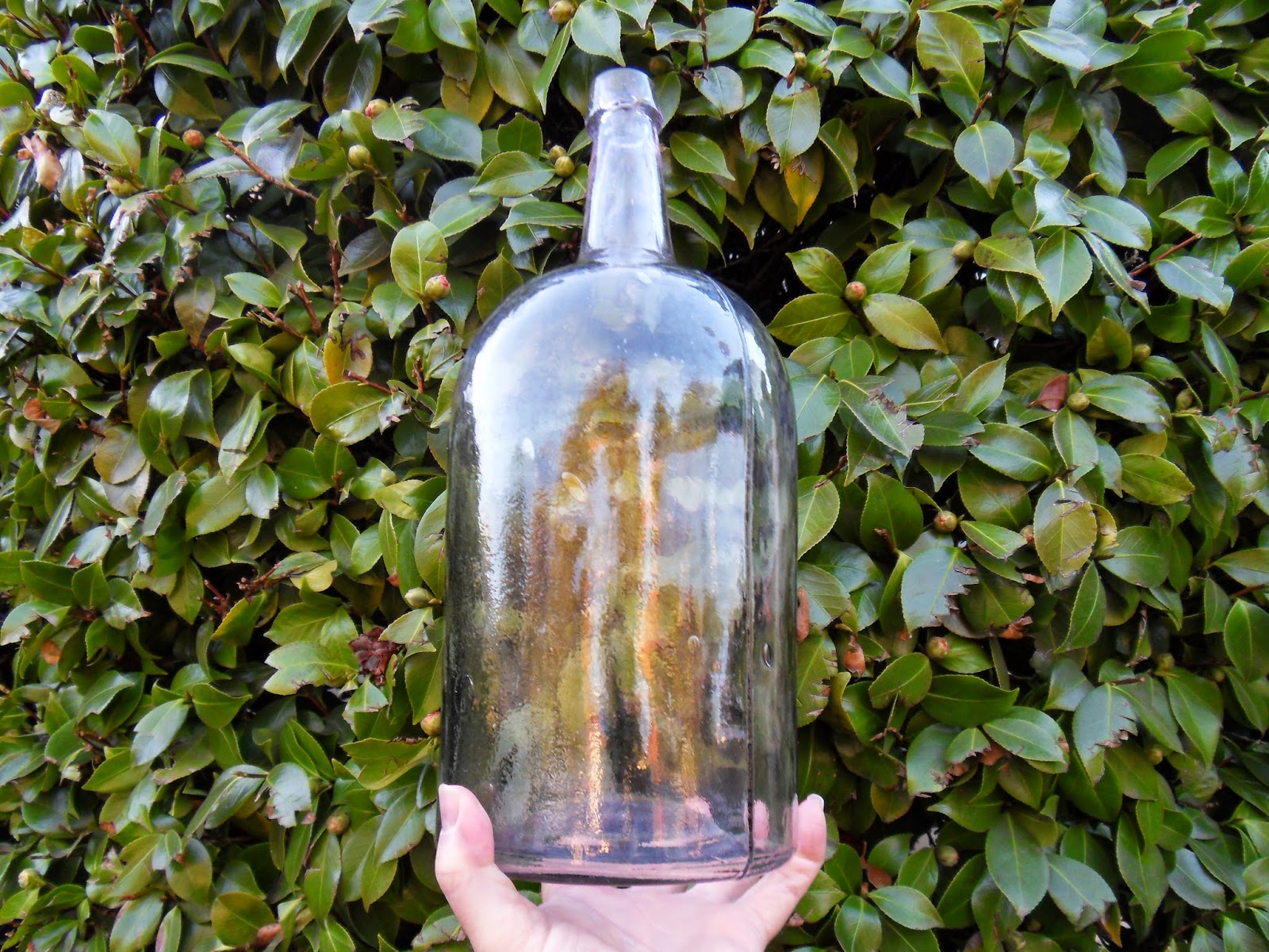 Western Bottle News Oakland Glass Works