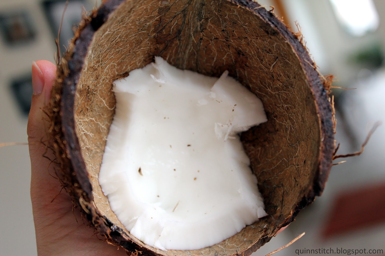 Quinn Stitch How to Make Coconut Milk (and How to Open a Coconut)